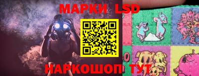 стаф Будённовск